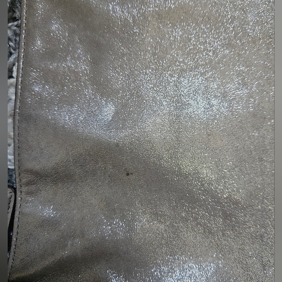 Coach 2011 G1194-18694 Chelsea East West Champagne Shimmer Leather Shoulder Bag - Picture 9 of 16
